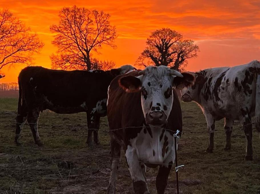 Gites Le Bisson Heussé Exteriér fotografie